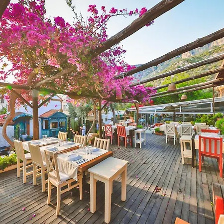 Cinar Butik * 卡斯